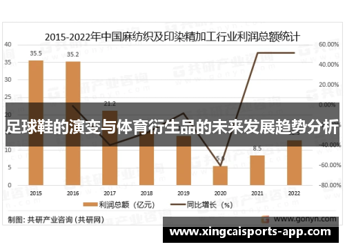 足球鞋的演变与体育衍生品的未来发展趋势分析